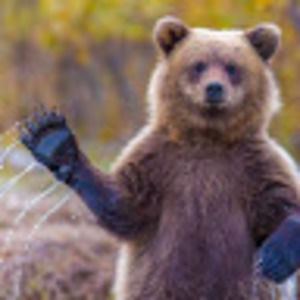 Meet your Posher, Leigh